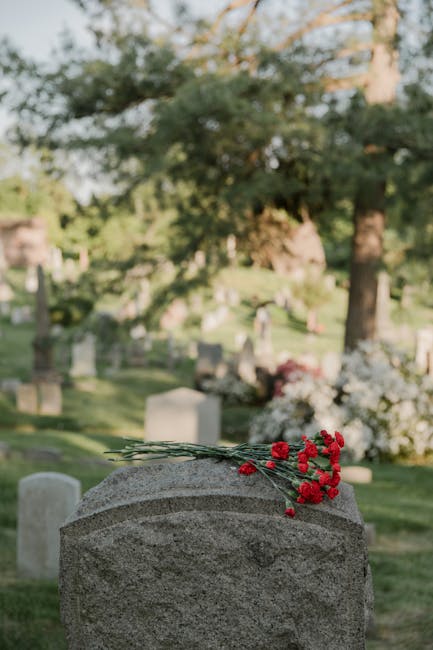 A close-up view of a grey granite headstone in a cemetery, with a small bouquet of fresh red carnations placed on top. The carnations have vibrant petals and green stems, arranged loosely with a few s