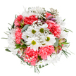 A joyful symphony of colour and texture, this bouquet is expertly handcrafted to capture North Harrow's welcoming spirit. At its heart, pure white daisies radiate around lime-green centers, their freshness enhanced by cushioned coral-pink carnations whose soft, ruffled edges dance in the gentle light. Wispy clusters of gypsophila dot the design, infusing it with airy brightness reminiscent of North Harrow's back gardens in late spring. Eucalyptus sprigs, in their soothing silvery-green, intermingle with richer foliage and anchor the bouquet with subtle cool notes. Tucked under the lush canopy, unopened alstroemeria buds provide hints of blush pink and royal purple, reassuring the viewer of growth and renewal. Whether chosen to celebrate a special occasion-a birthday along Imperial Drive, a Mother's Day surprise, or an anniversary with a touch of local charm-this arrangement conveys heartfelt warmth and optimism. Its harmonious colours, tactile variety, and delicate scent reflect the artistry of North Harrow florists, ensuring each delivery resonates with both joy and a sense of place. The bouquet's delicate composition and radiant palette make it the perfect centrepiece for any home or gathering spot across North Harrow.